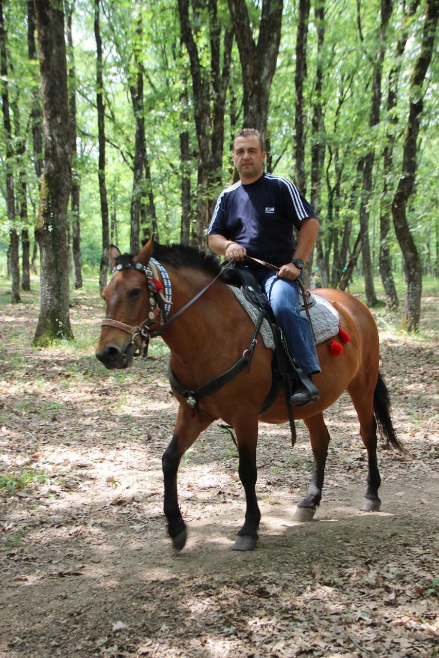 Aristotelis Guest House Arni Arnaia Zewnętrze zdjęcie